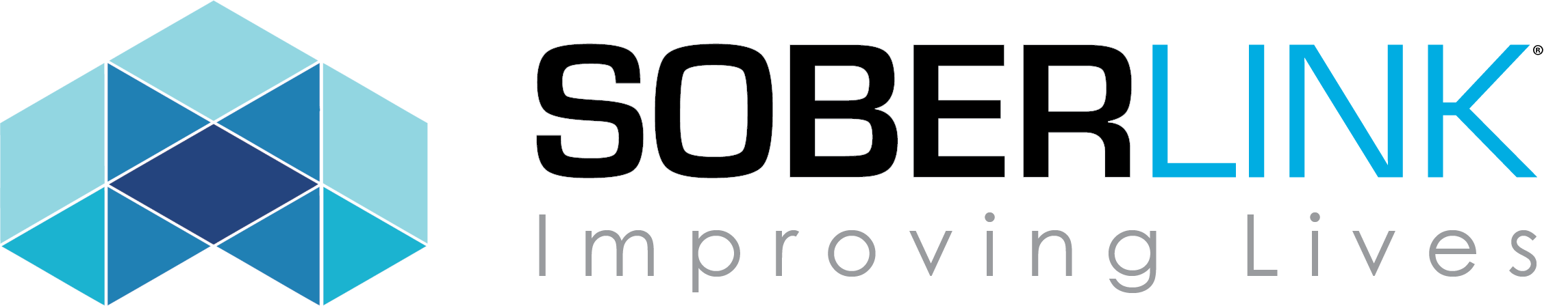 SOBERLINK Logo